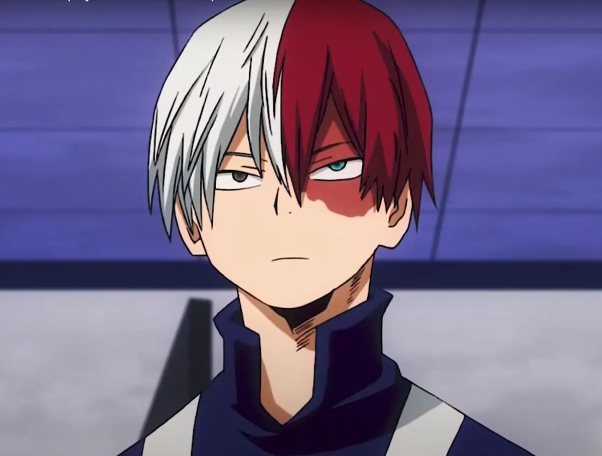 How Old Is Shoto Todoroki, Not a Gintama Character